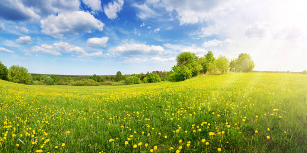 🌸 Le printemps arrive : c&rsquo;est le moment id&eacute;al pour r&eacute;nover votre escalier Port-de-Bouc
