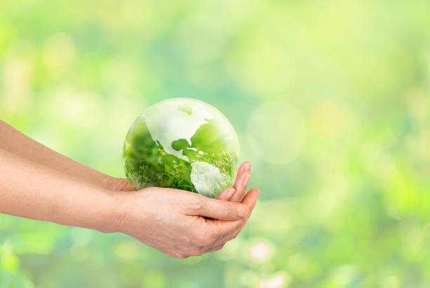 ISTOCKPHOTO 1325157531 612X612 1 | L’Atelier Des Marches Comment notre prestation de rénovation d’escalier respecte l’environnement ? Pennes-Mirabeau